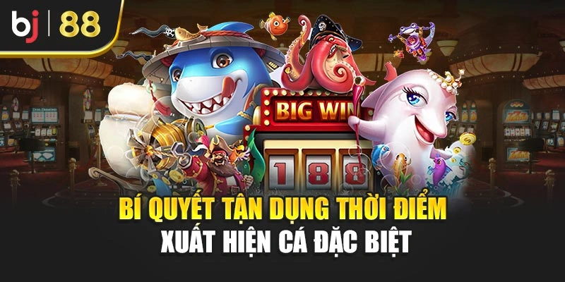 Bí quyết tận dụng thời điểm xuất hiện cá đặc biệt