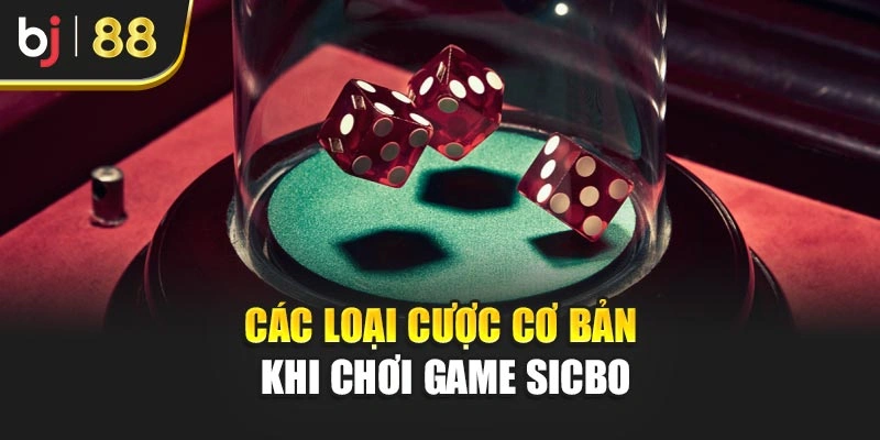Các loại cược cơ bản khi chơi game Sicbo
