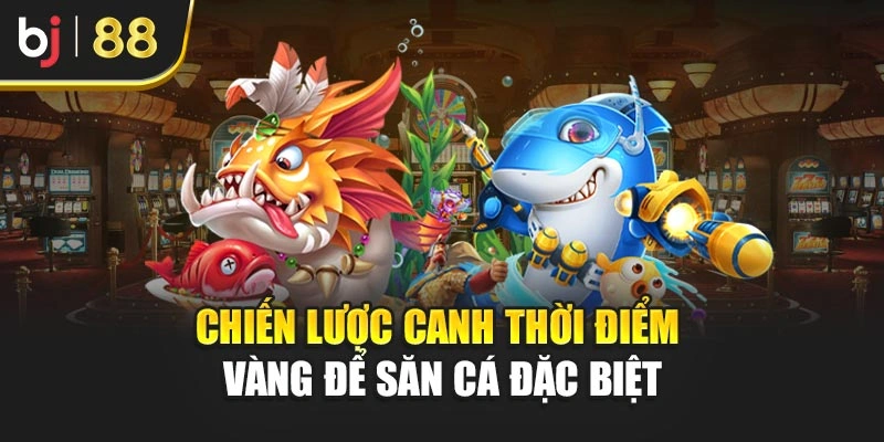 Chiến lược canh thời điểm vàng để săn cá đặc biệt