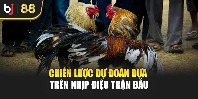 Chiến lược dự đoán dựa trên nhịp điệu trận đấu