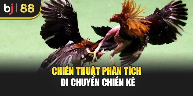 Chiến thuật phân tích di chuyển chiến kê