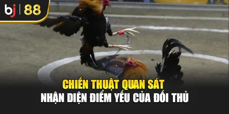 Chiến thuật quan sát nhận diện điểm yếu của đối thủ