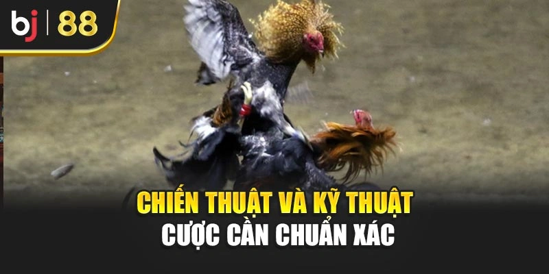 Chiến thuật và kỹ thuật cược cần chuẩn xác
