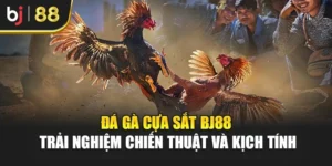 Đá Gà Cựa Sắt Bj88 – Trải Nghiệm Chiến Thuật Và Kịch Tính