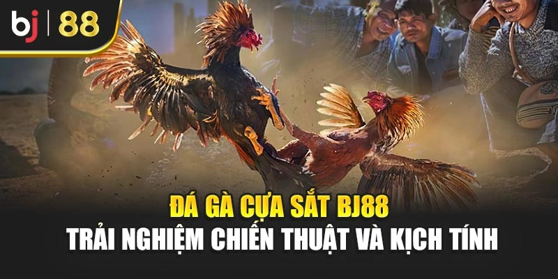 Đá Gà Cựa Sắt Bj88 – Trải Nghiệm Chiến Thuật Và Kịch Tính