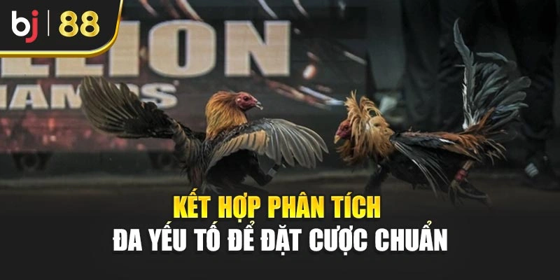 Kết hợp phân tích đa yếu tố để đặt cược chuẩn