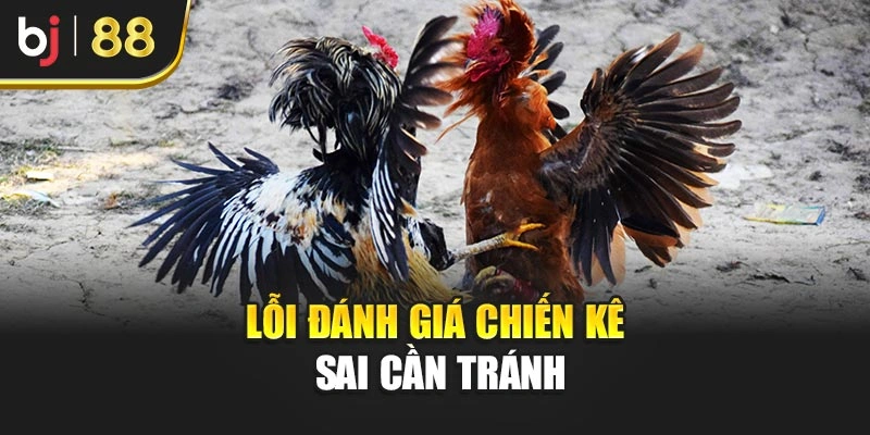 Lỗi đánh giá chiến kê sai cần tránh