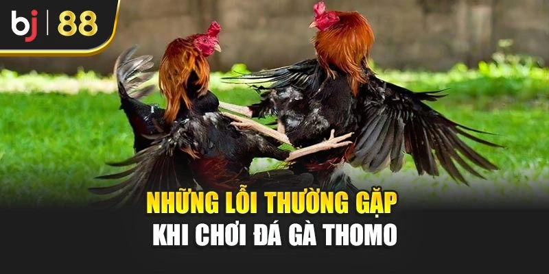 Những lỗi thường gặp khi chơi Đá gà Thomo
