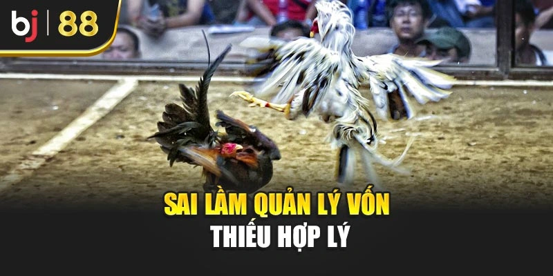 Sai lầm quản lý vốn thiếu hợp lý